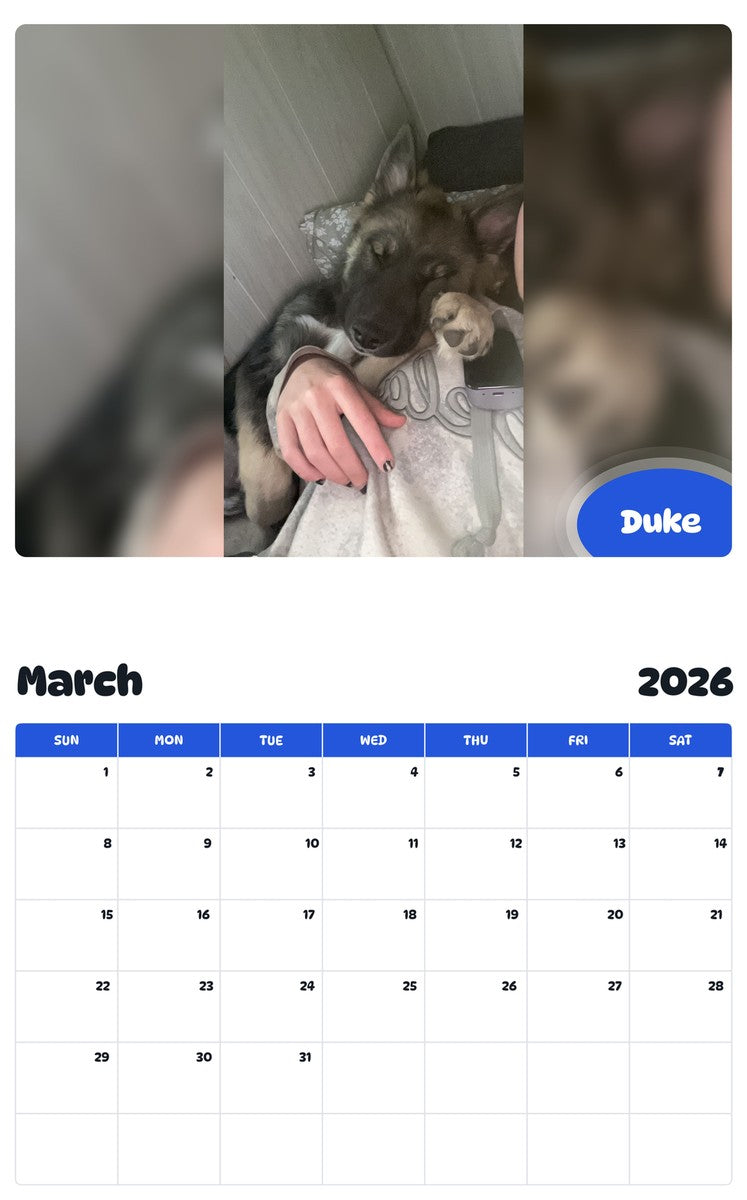 November 2025 - October 2026 Duke - Pawidols Pet Calendar