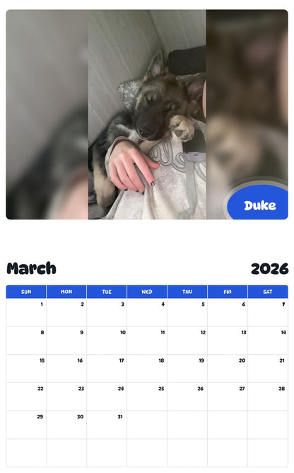 November 2025 - October 2026 Duke - Pawidols Pet Calendar