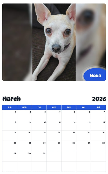November 2025 - October 2026 Nova - Pawidols Pet Calendar