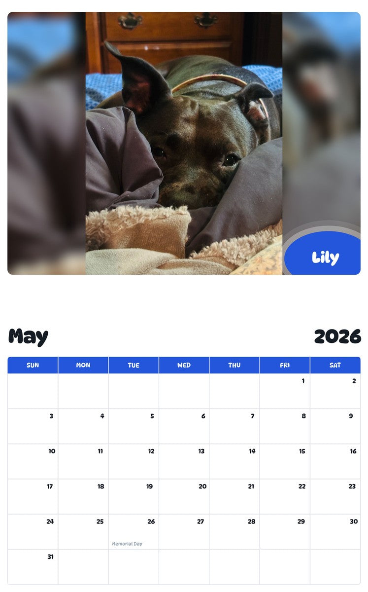 2026 - 2027 Lily - Pawidols Pet Calendar