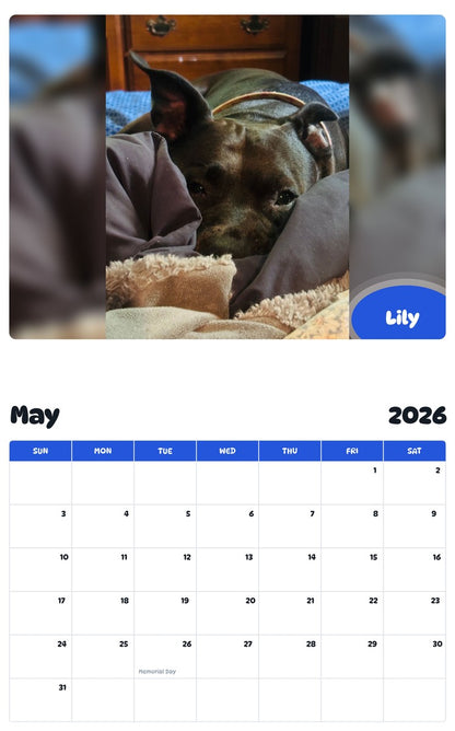 2026 - 2027 Lily - Pawidols Pet Calendar