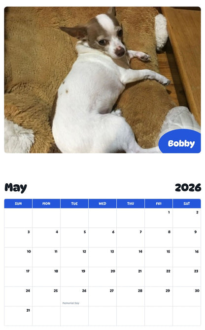 2026 - 2027 Bobby - Pawidols Pet Calendar