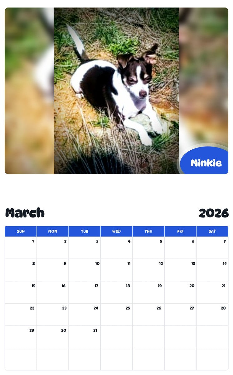 November 2025 - October 2026 Minkie - Pawidols Pet Calendar