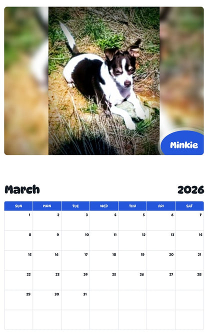 November 2025 - October 2026 Minkie - Pawidols Pet Calendar