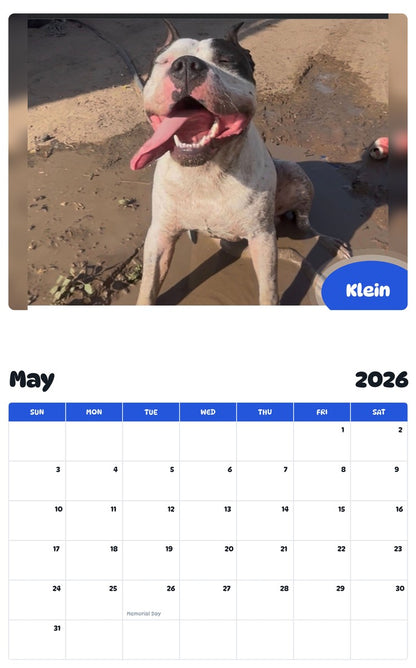 2026 - 2027 Klein - Pawidols Pet Calendar