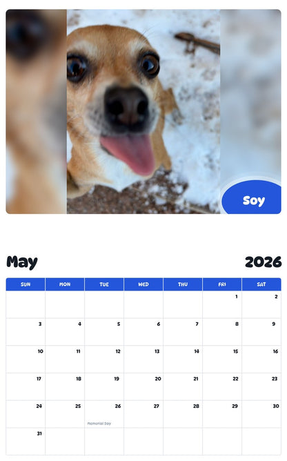 2026 - 2027 Soy - Pawidols Pet Calendar