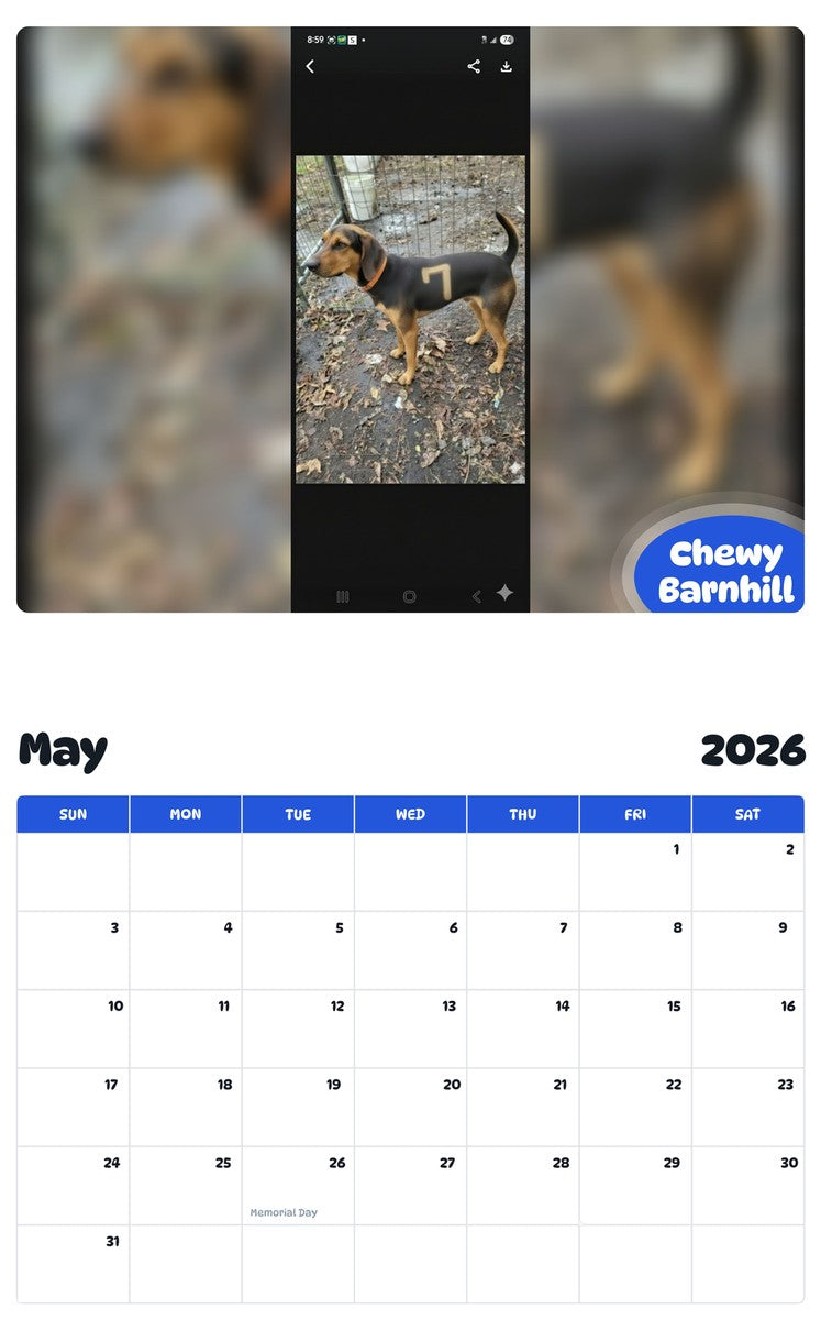 2026 - 2027 Chewy Barnhill - Pawidols Pet Calendar