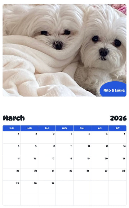 November 2025 - October 2026 Milo & Louie - Pawidols Pet Calendar
