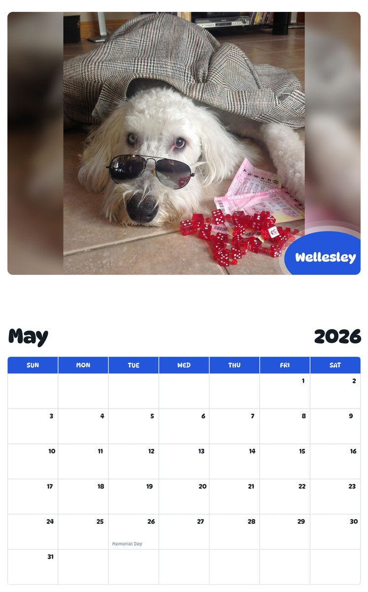 2026 - 2027 Wellesley - Pawidols Pet Calendar