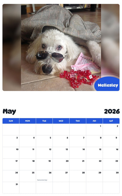 2026 - 2027 Wellesley - Pawidols Pet Calendar