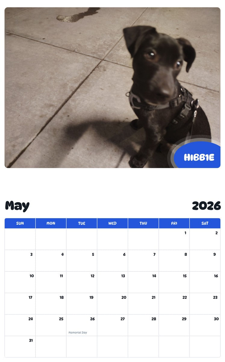 2026 - 2027 HIBB1E - Pawidols Pet Calendar