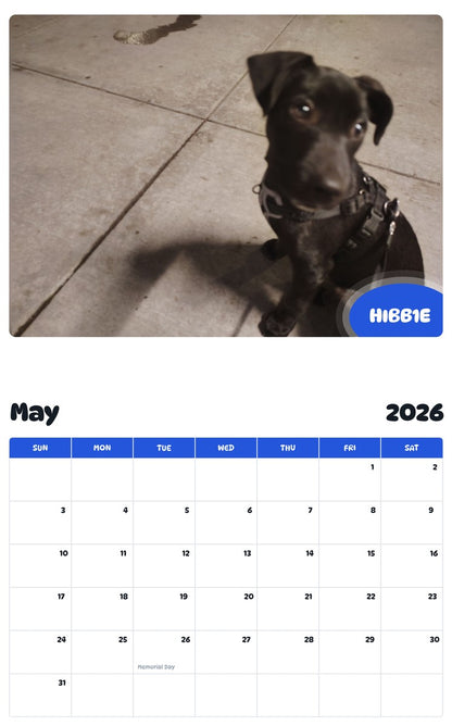 2026 - 2027 HIBB1E - Pawidols Pet Calendar