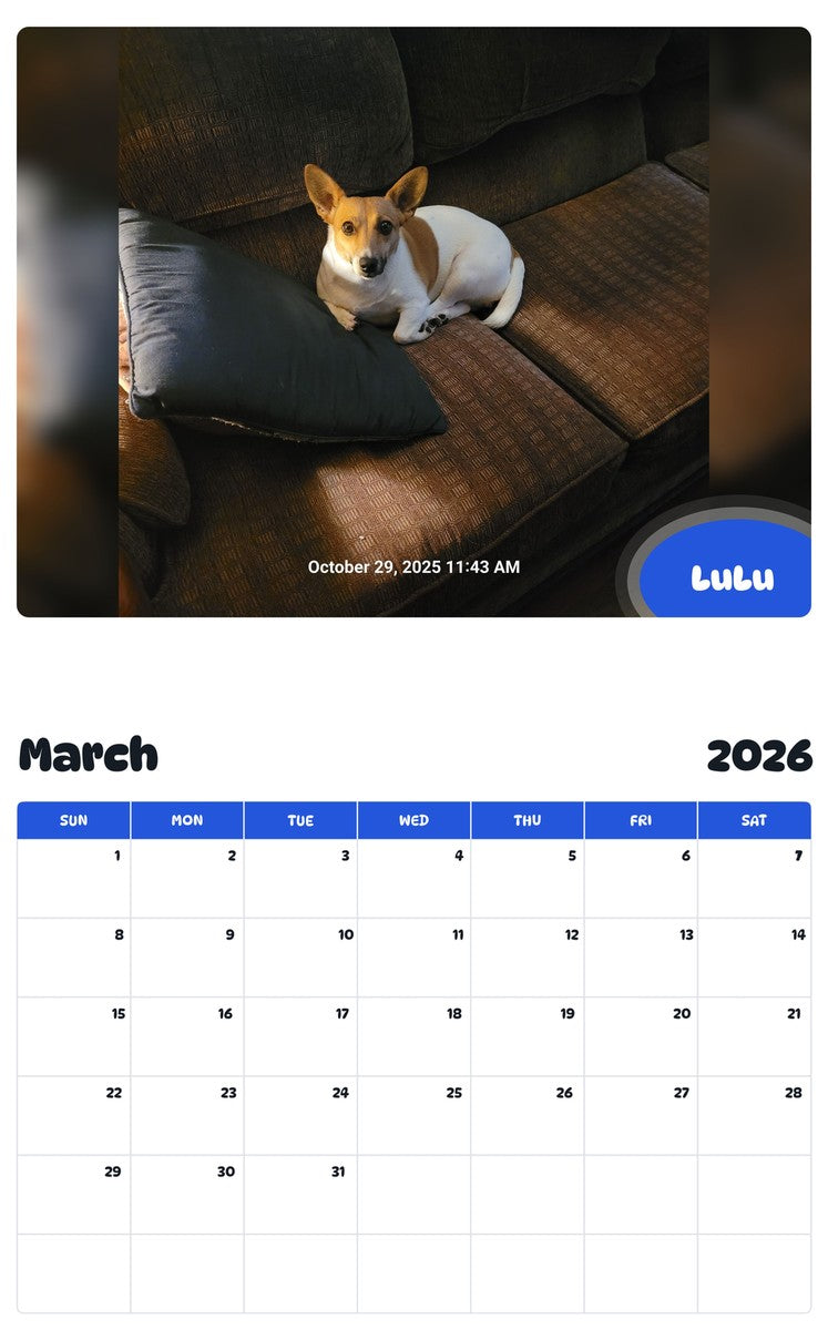 November 2025 - October 2026 LuLu - Pawidols Pet Calendar
