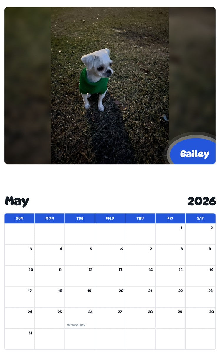 2026 - 2027 Bailey - Pawidols Pet Calendar