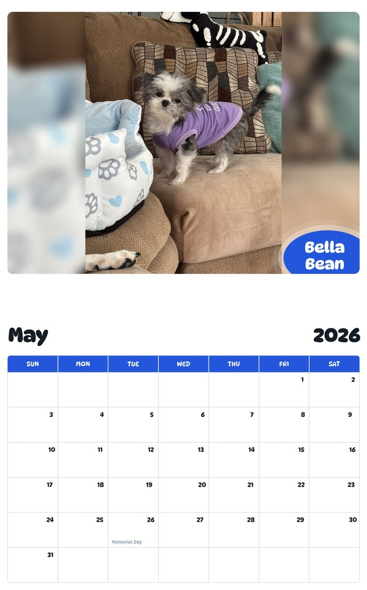 2026 - 2027 Bella Bean - Pawidols Pet Calendar