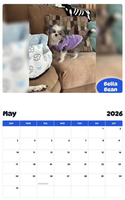 2026 - 2027 Bella Bean - Pawidols Pet Calendar