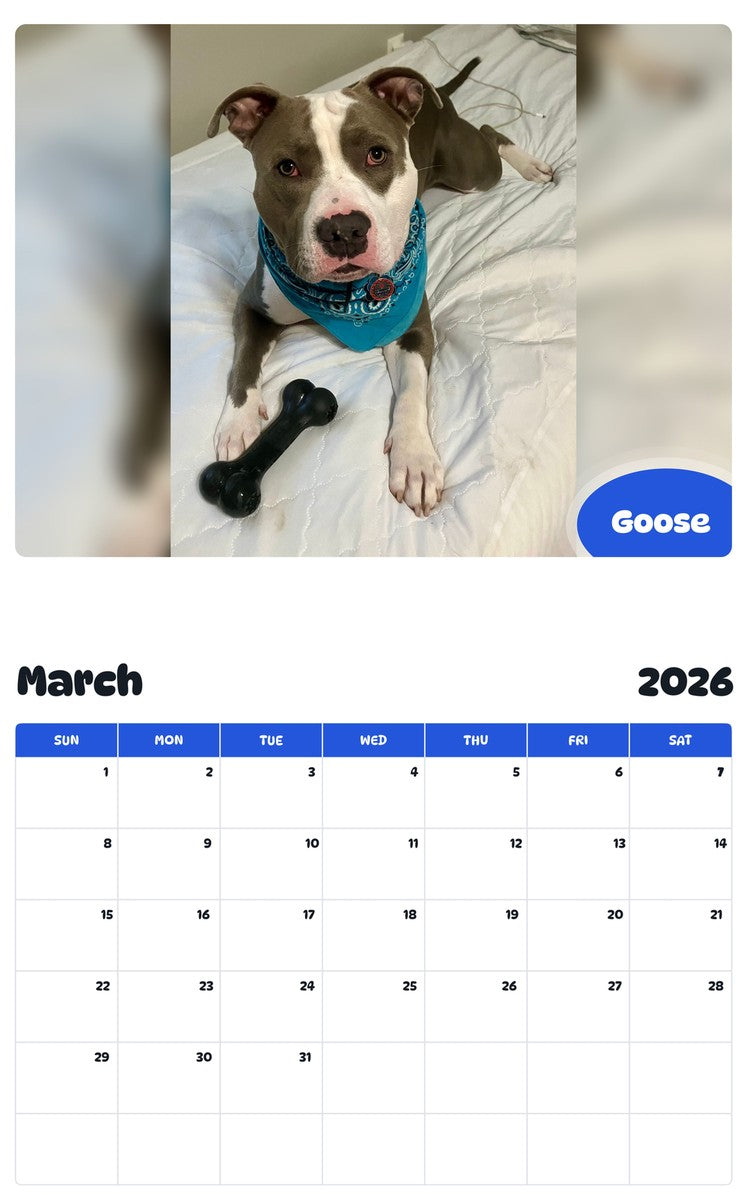 November 2025 - October 2026 Goose - Pawidols Pet Calendar