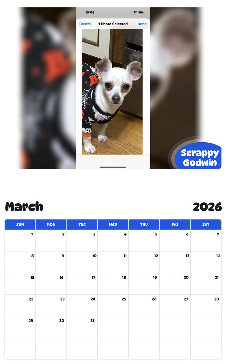 November 2025 - October 2026 Scrappy Godwin - Pawidols Pet Calendar