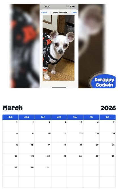 November 2025 - October 2026 Scrappy Godwin - Pawidols Pet Calendar