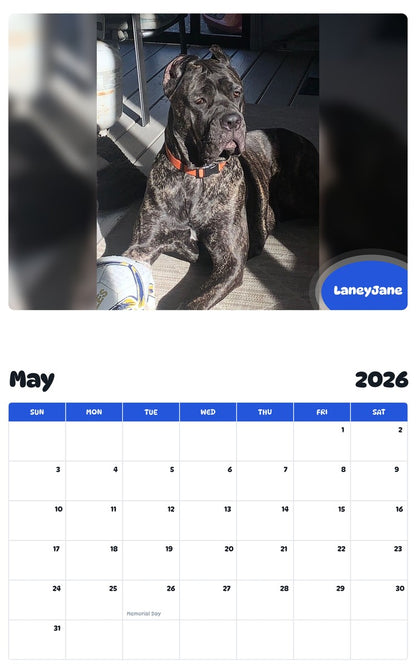2026 - 2027 LaneyJane - Pawidols Pet Calendar