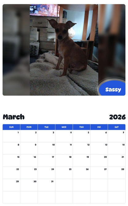 November 2025 - October 2026 Sassy - Pawidols Pet Calendar