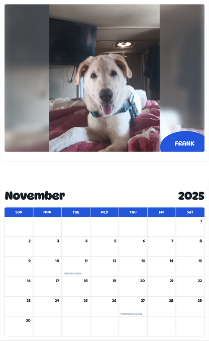 July 2025 - June 2026 FRANK - Pawidols Pet Calendar