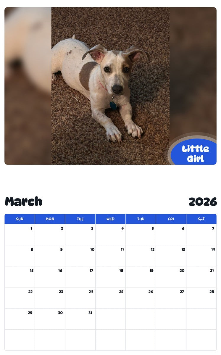 November 2025 - October 2026 Little Girl - Pawidols Pet Calendar
