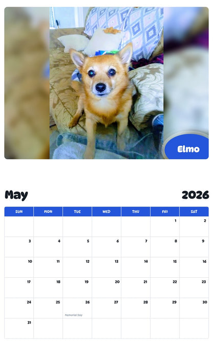 2026 - 2027 Elmo - Pawidols Pet Calendar