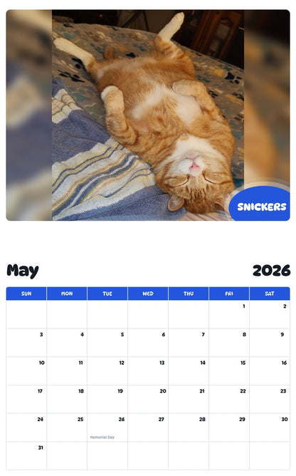 2026 - 2027 SNICKERS - Pawidols Pet Calendar