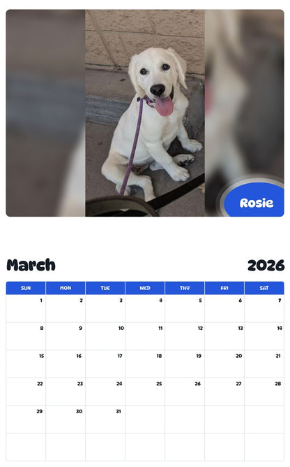 November 2025 - October 2026 Rosie - Pawidols Pet Calendar