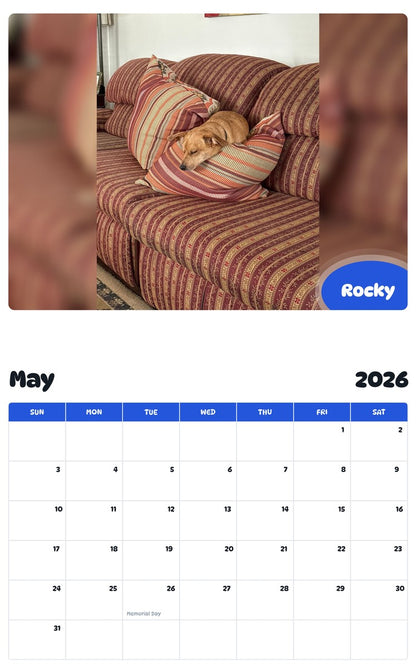 2026 - 2027 Rocky - Pawidols Pet Calendar