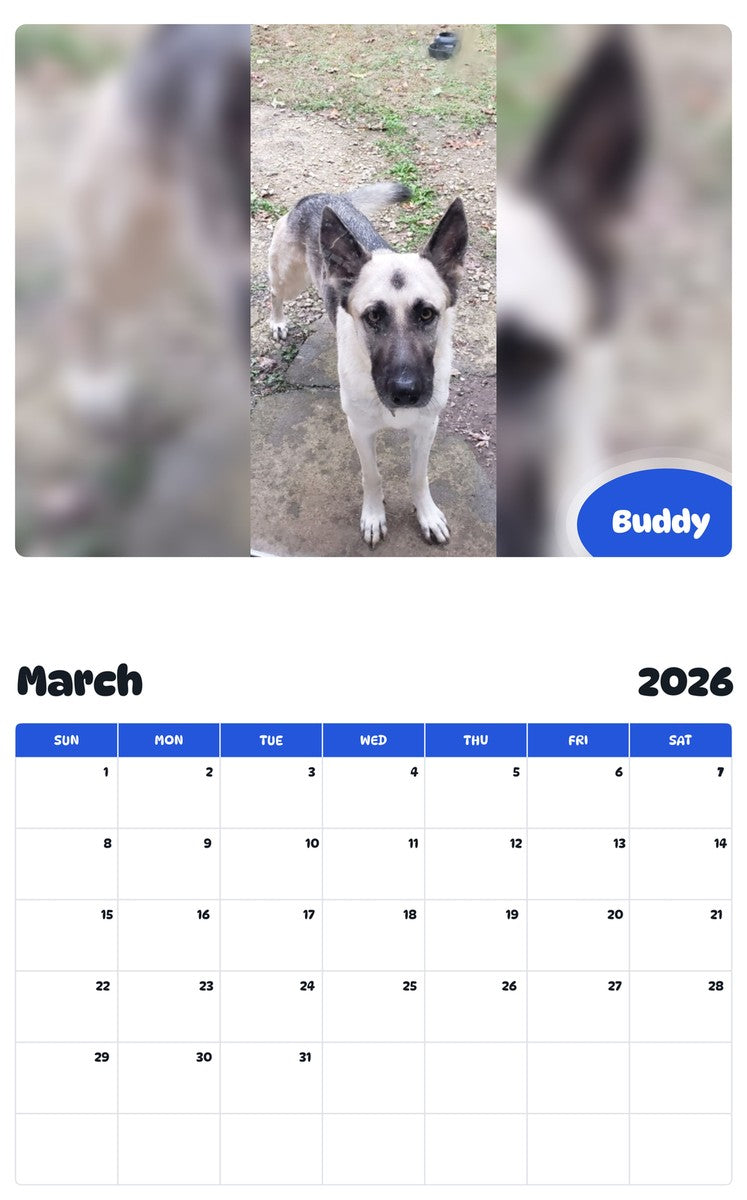 November 2025 - October 2026 Buddy - Pawidols Pet Calendar