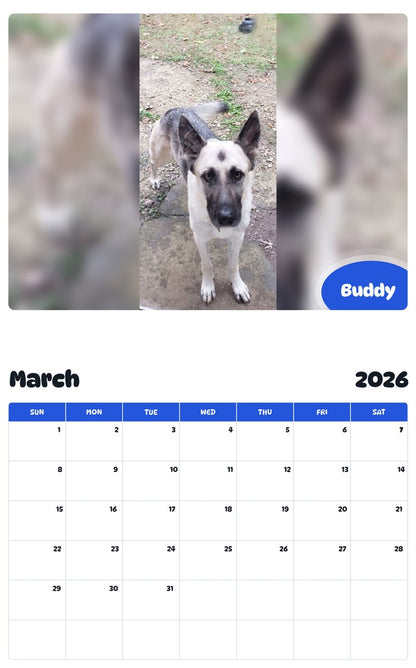 November 2025 - October 2026 Buddy - Pawidols Pet Calendar