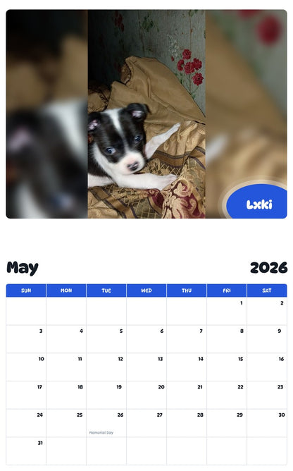 2026 - 2027 Lxki - Pawidols Pet Calendar