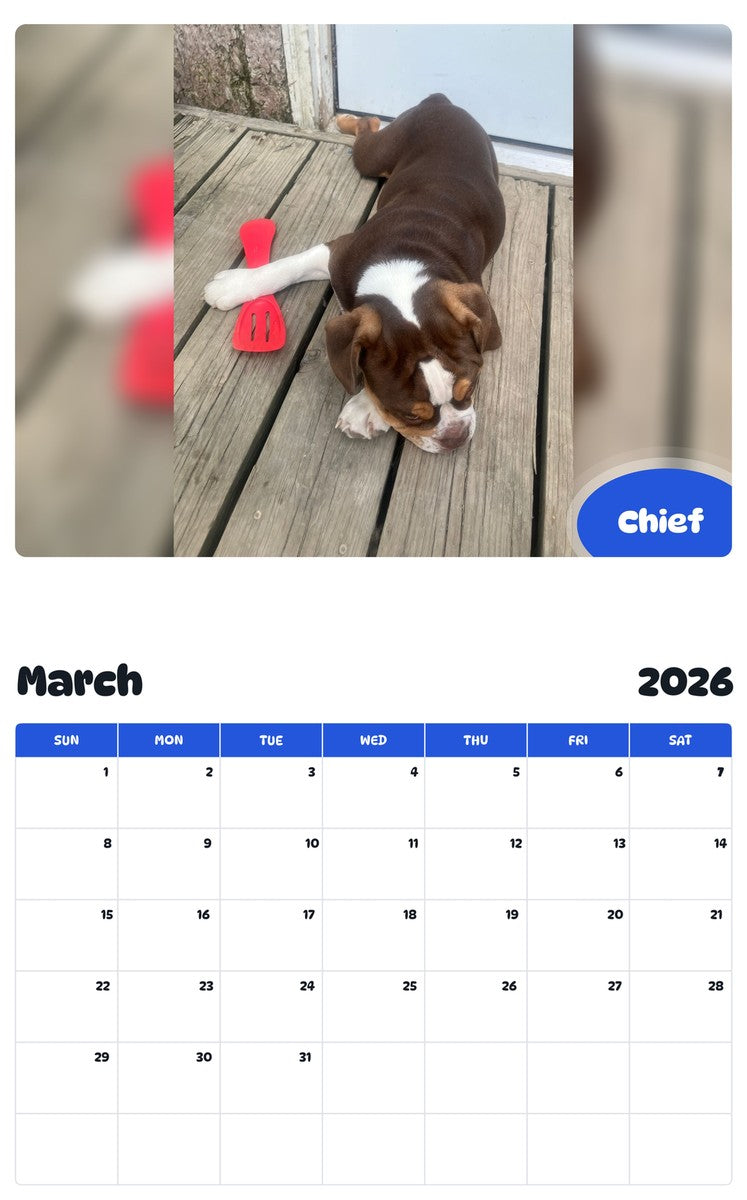 November 2025 - October 2026 Chief - Pawidols Pet Calendar