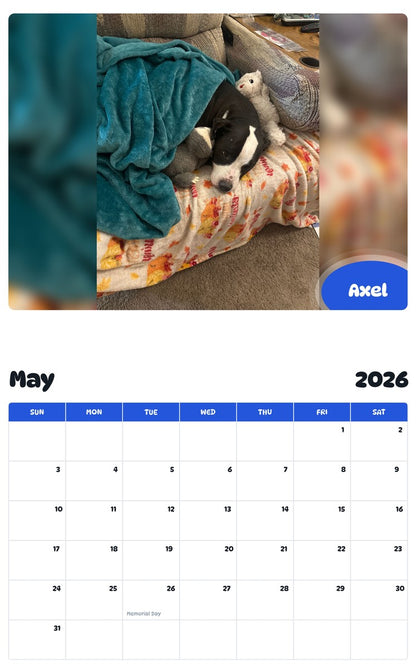 2026 - 2027 Axel - Pawidols Pet Calendar