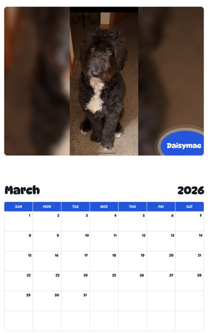 November 2025 - October 2026 Daisymae - Pawidols Pet Calendar