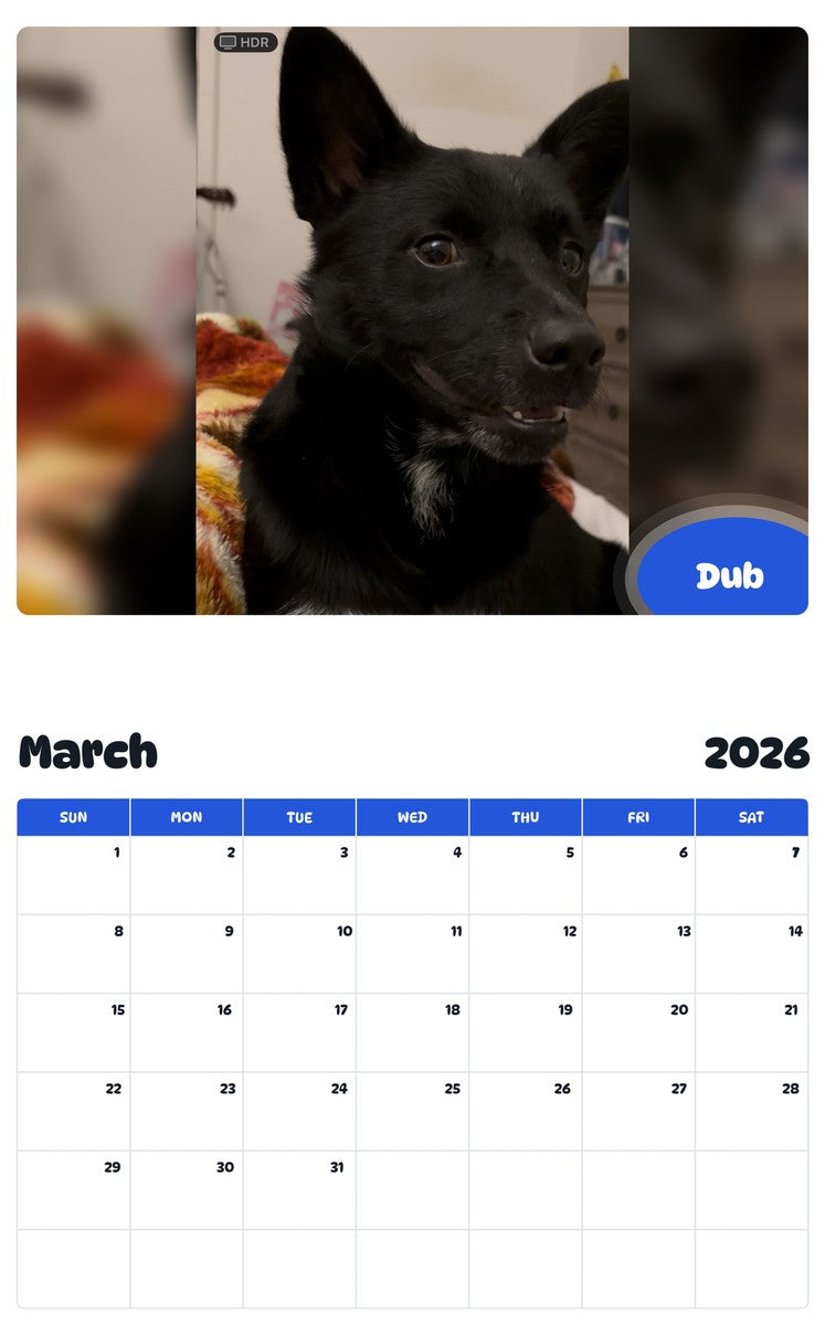 November 2025 - October 2026 Dub - Pawidols Pet Calendar