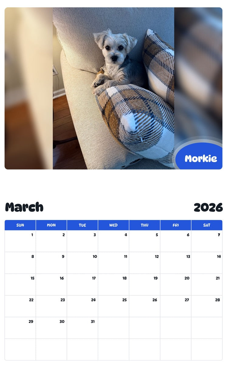 November 2025 - October 2026 Morkie - Pawidols Pet Calendar