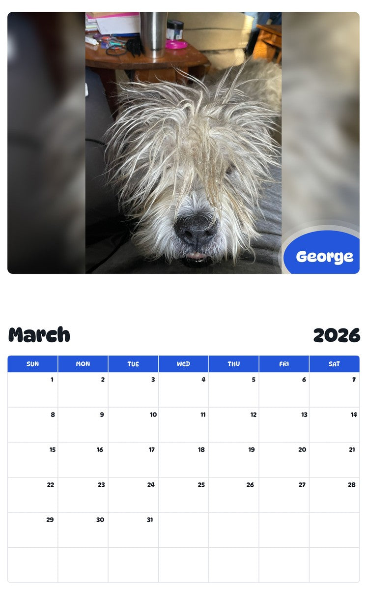 November 2025 - October 2026 George - Pawidols Pet Calendar