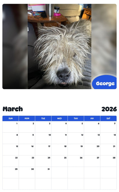 November 2025 - October 2026 George - Pawidols Pet Calendar