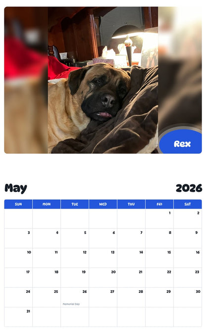 2026 - 2027 Rex - Pawidols Pet Calendar