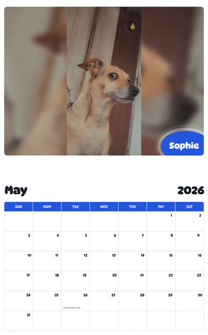 2026 - 2027 Sophie - Pawidols Pet Calendar