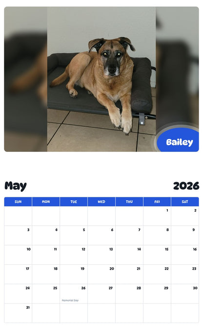 2026 - 2027 Bailey - Pawidols Pet Calendar
