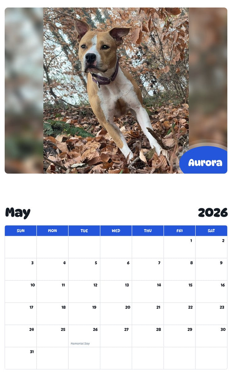 2026 - 2027 Aurora - Pawidols Pet Calendar
