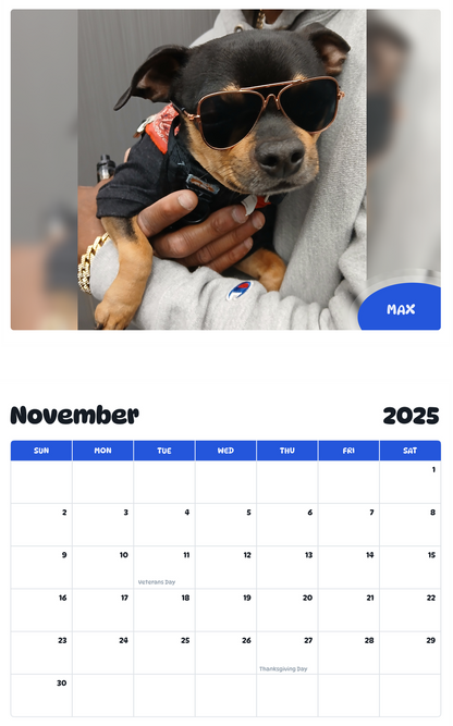 July 2025 - June 2026 Max - Pawidols Pet Calendar