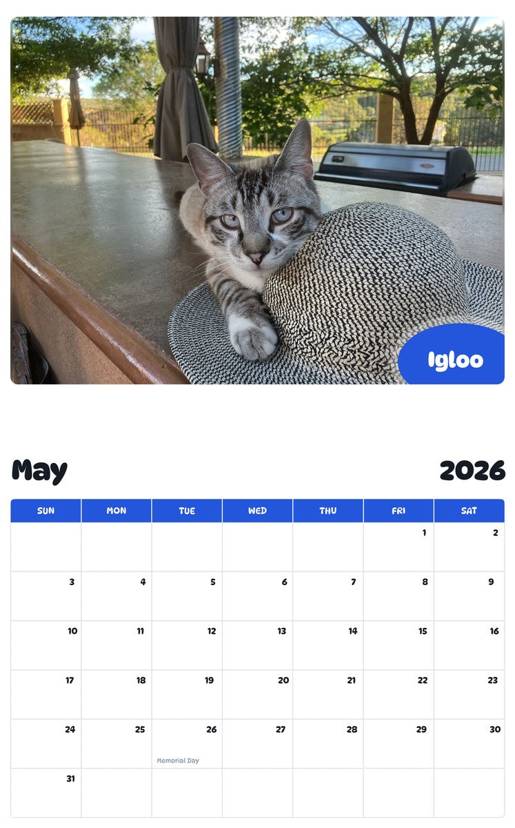 2026 - 2027 Igloo - Pawidols Pet Calendar