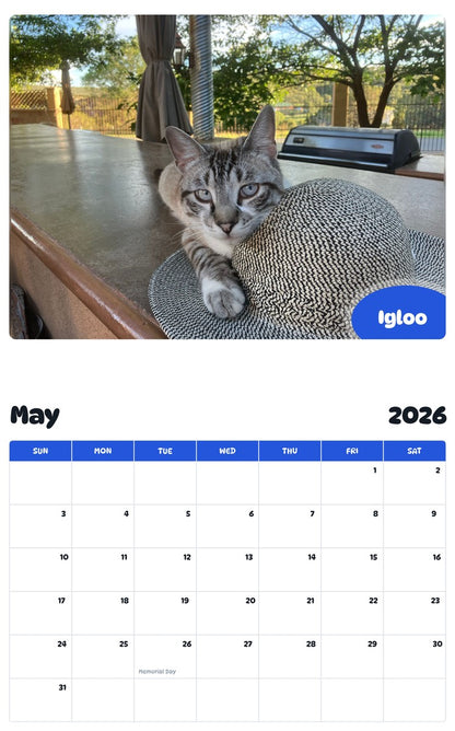 2026 - 2027 Igloo - Pawidols Pet Calendar