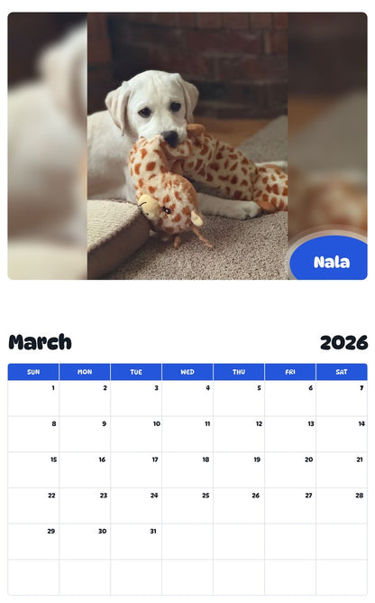 November 2025 - October 2026 Nala - Pawidols Pet Calendar