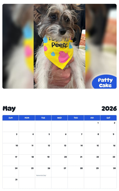 2026 - 2027 Patty Cake - Pawidols Pet Calendar